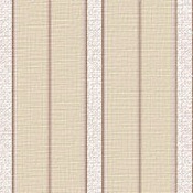 Nouvelles Stripe 1218-3