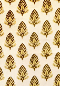 Acorn F0069-03