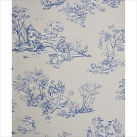 Allover Jouy CHT 2291 61 36