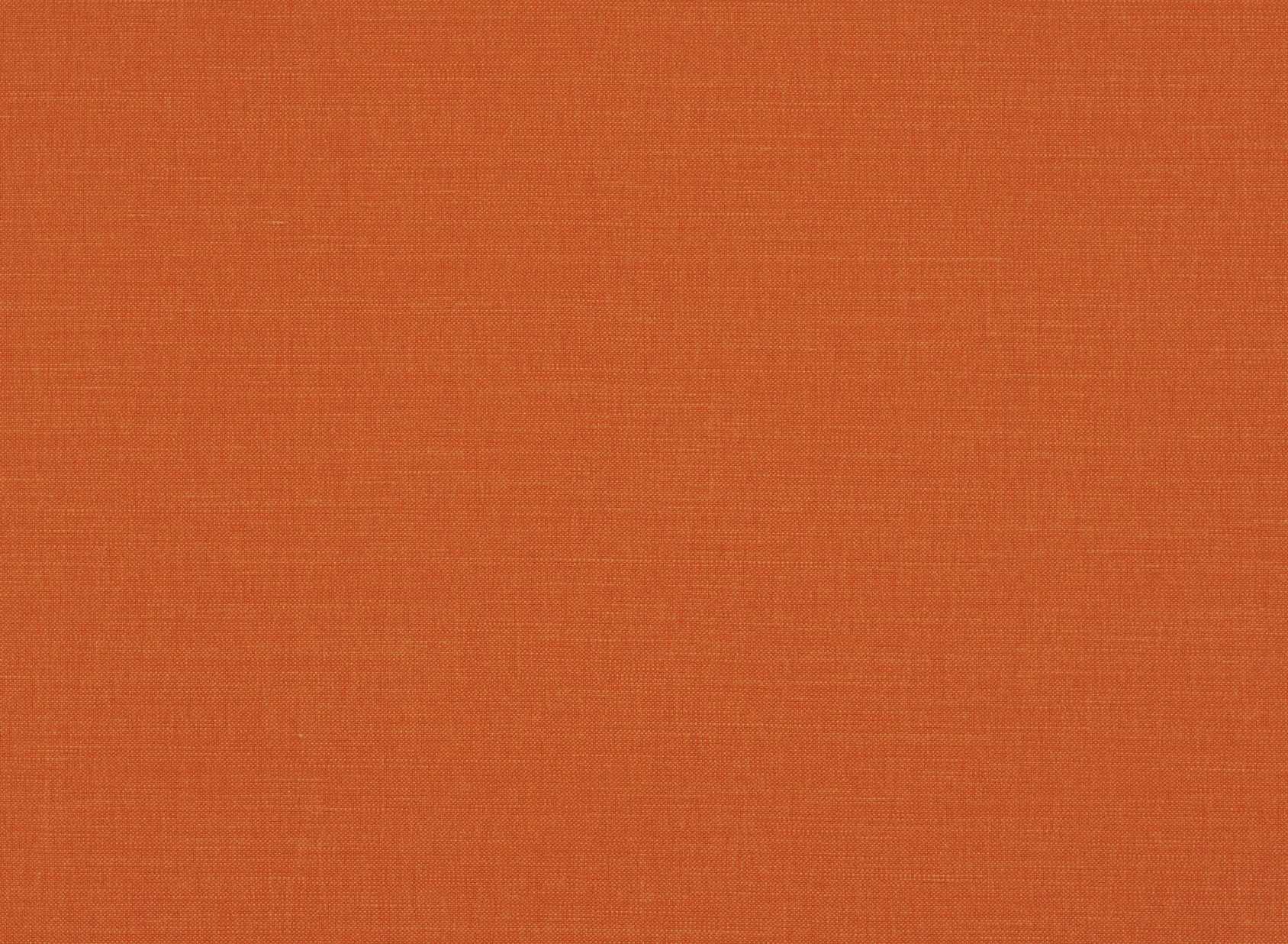 Linara Tangerine 2494-152