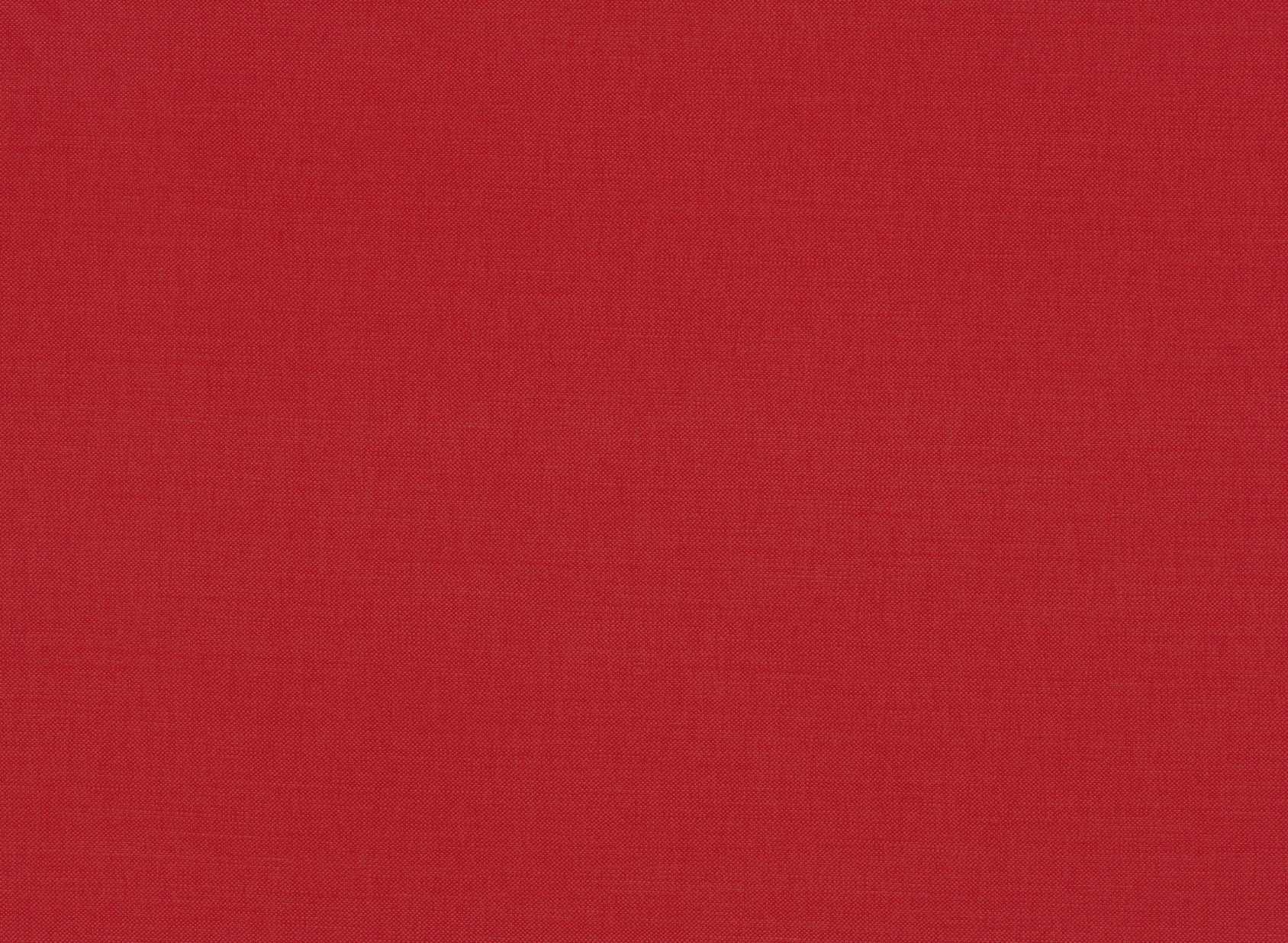 Linara Tomato 2494-181