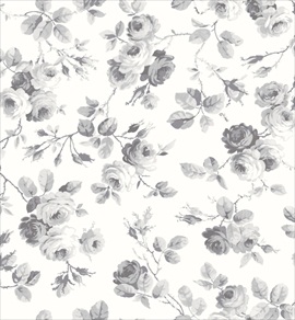Mary 5018-51