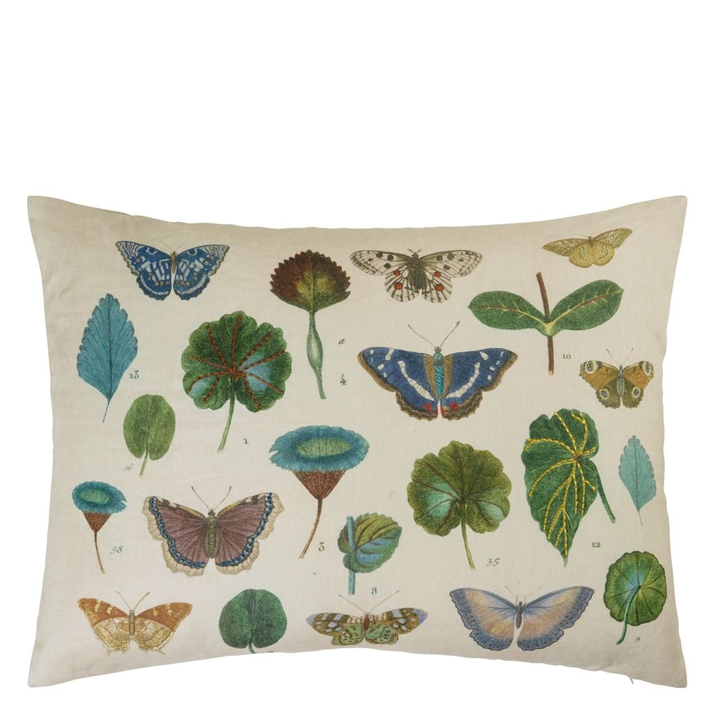 A Leaf And Butterfly Study Linen CCJD5020