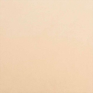 Boston A501 49 24