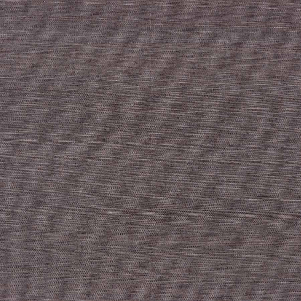 Abaca Harvest Chinchilla 1115