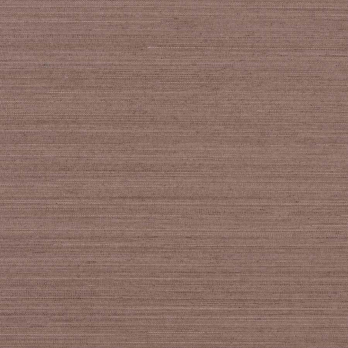 Abaca Harvest Umber Earth 1114