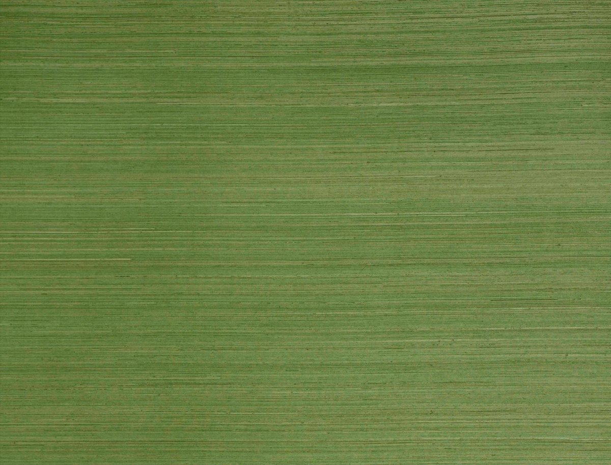 Abaca JT02 1057 012