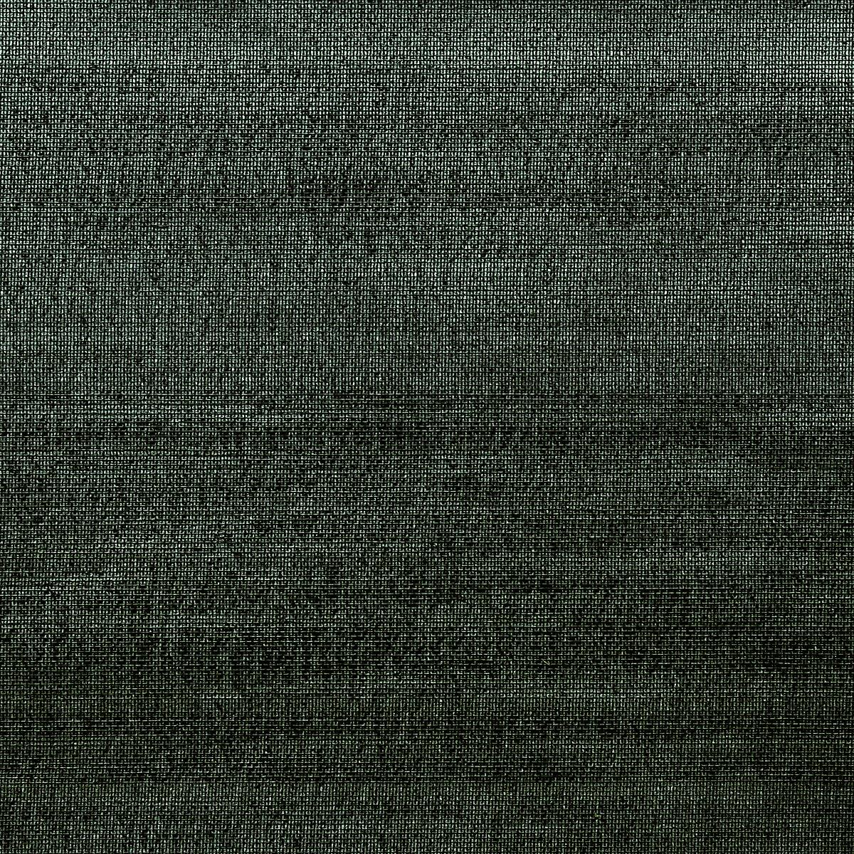 Abaca Mist Forestry 4886