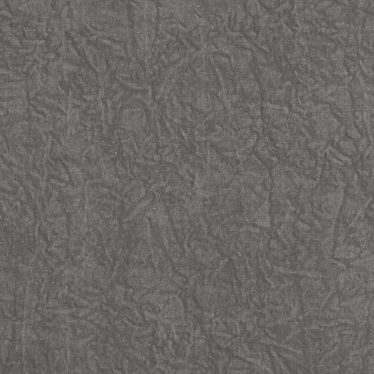 Abelia F1434-08