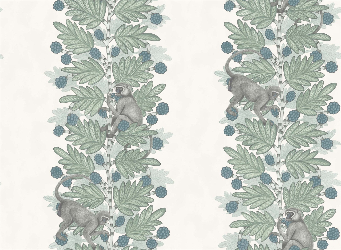 Acacia 109-11052