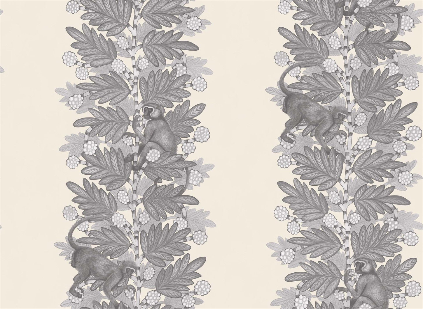 Acacia 109-11053
