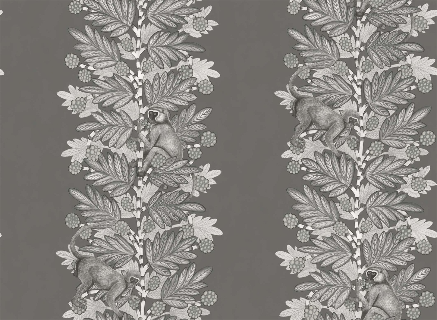 Acacia 109-11055