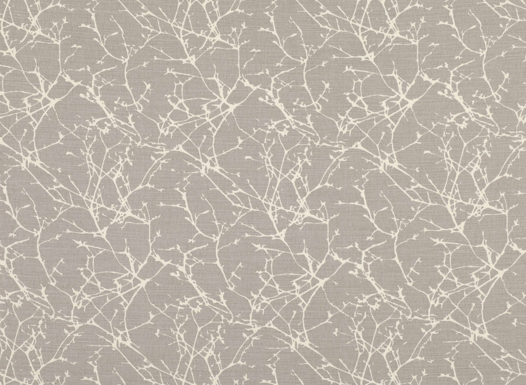 Acacia Chamois 7758-05