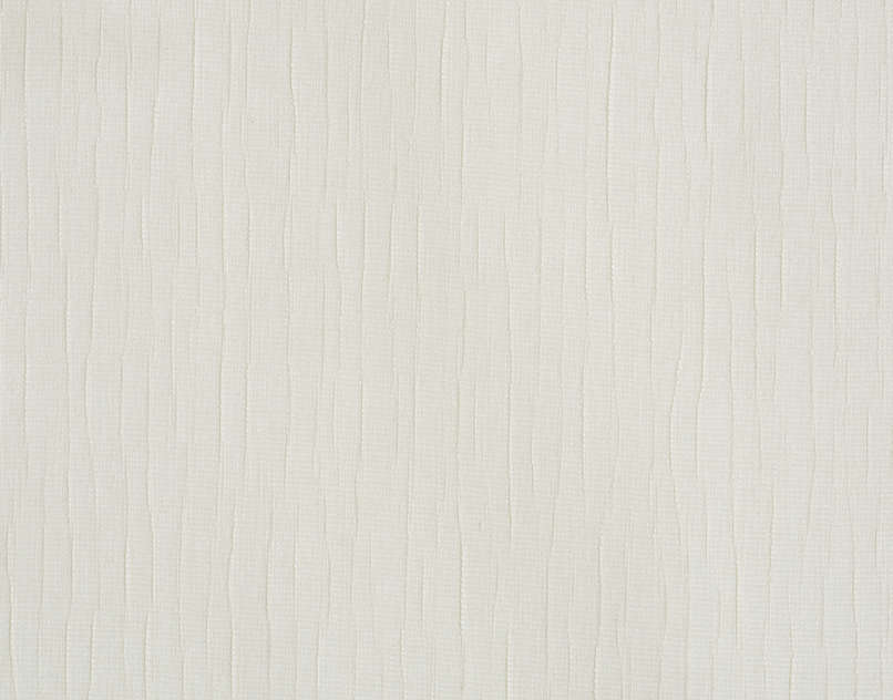 Acacia FP458001