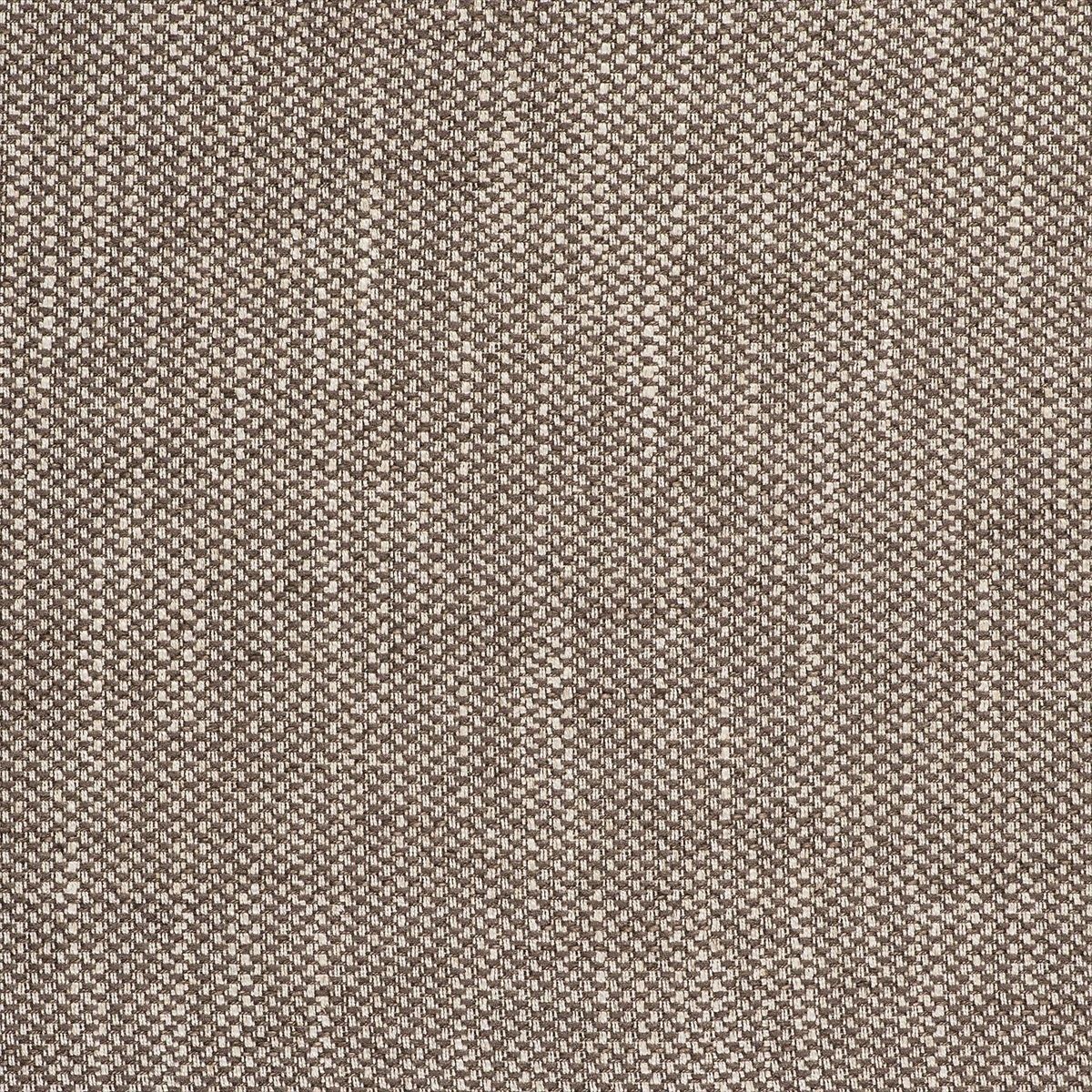 Acacia GDT-5519-002
