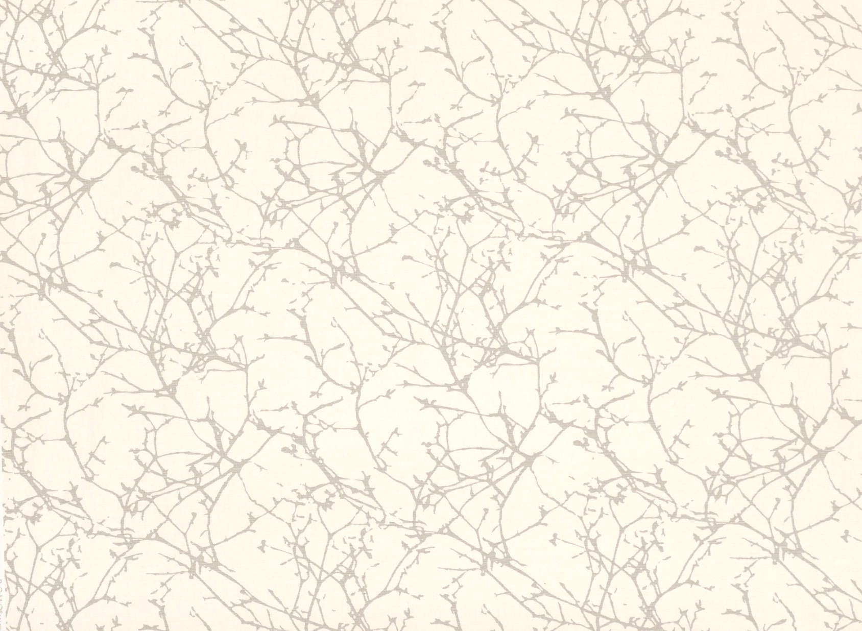 Acacia 7758-02