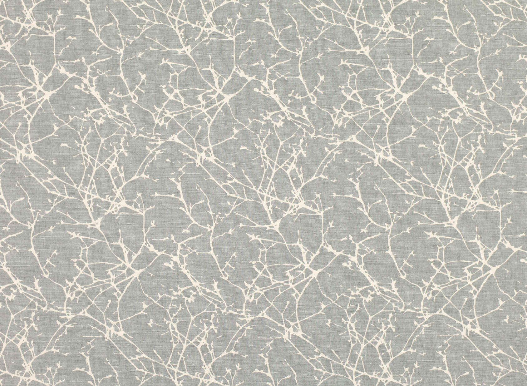 Acacia 7758-06