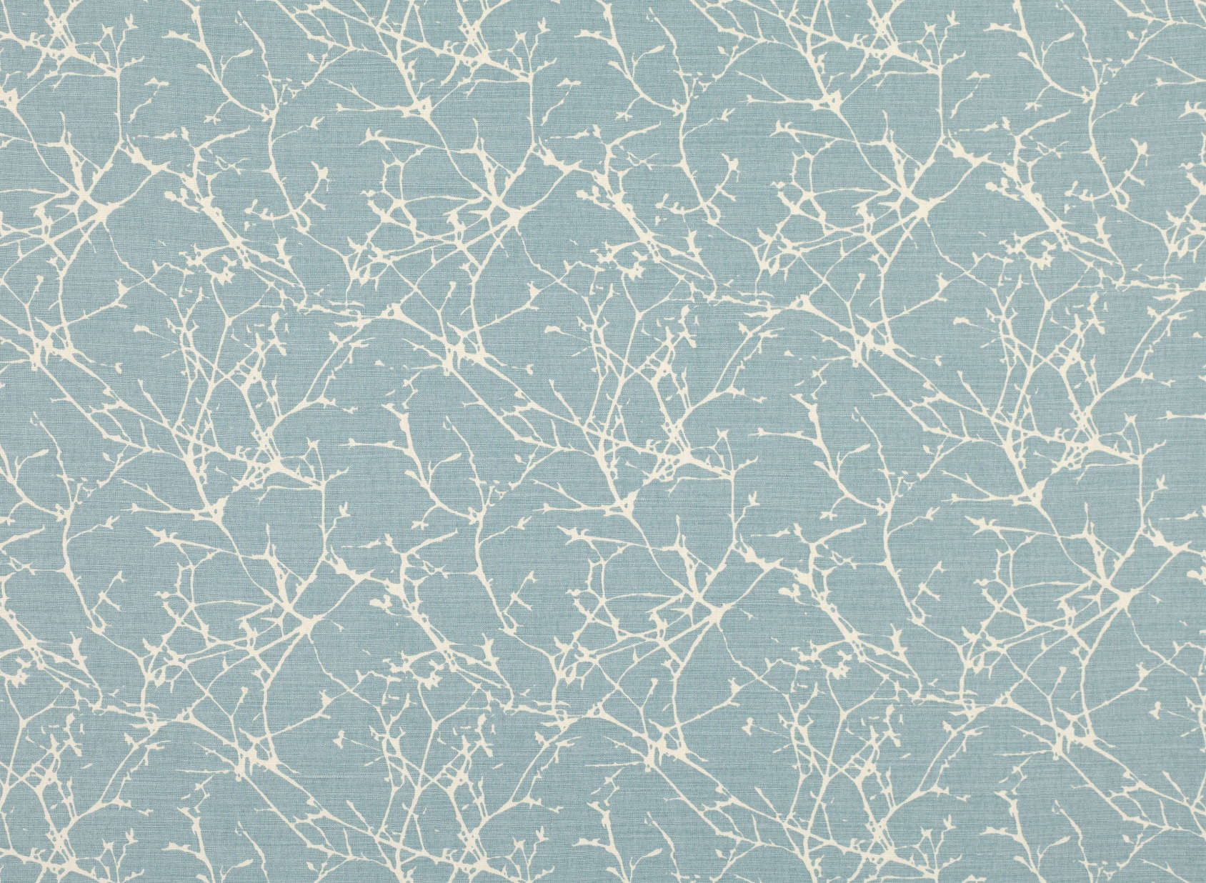 Acacia 7758-04