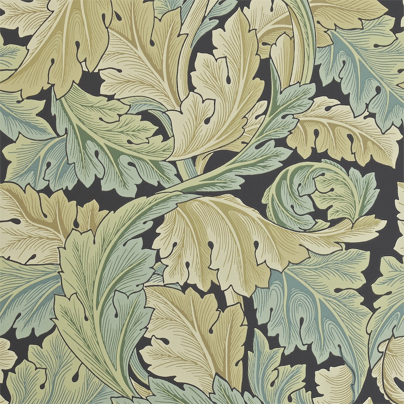 Acanthus 212550