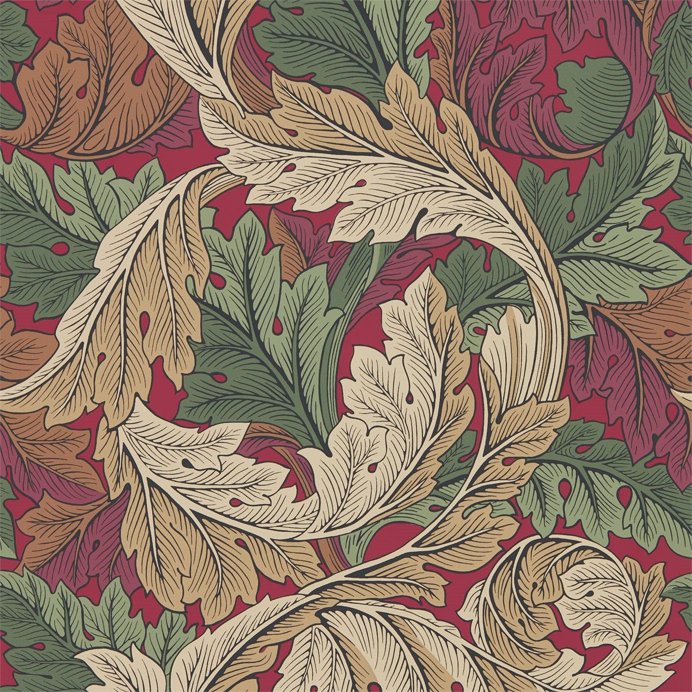 Acanthus 216439
