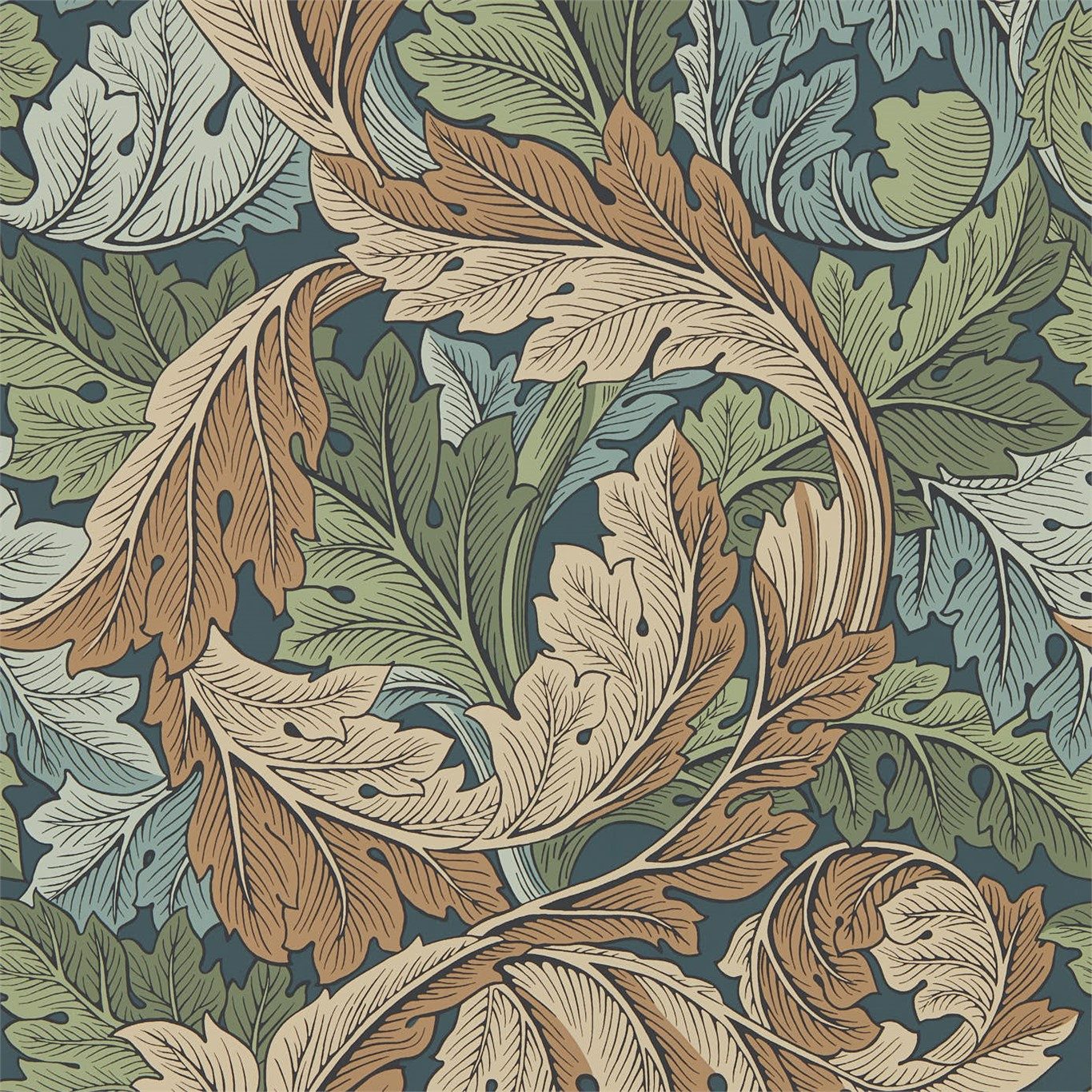 Acanthus 216440
