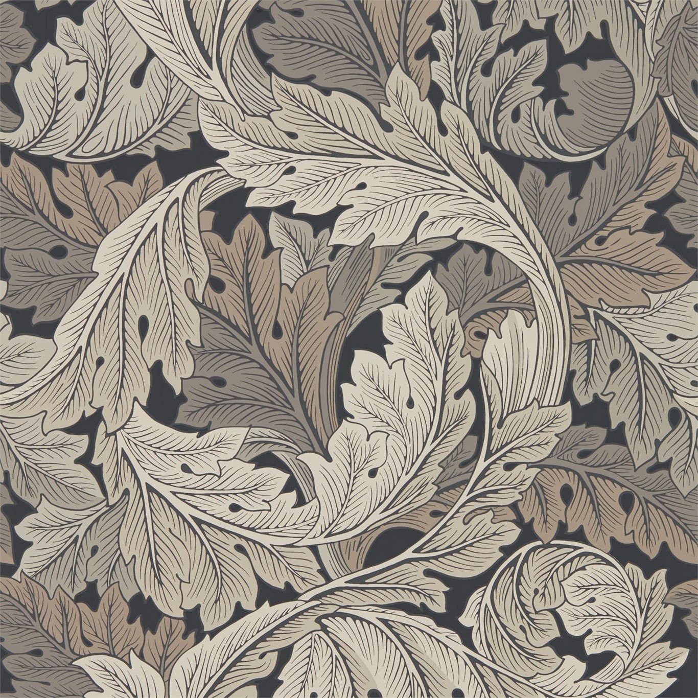 Acanthus 216442
