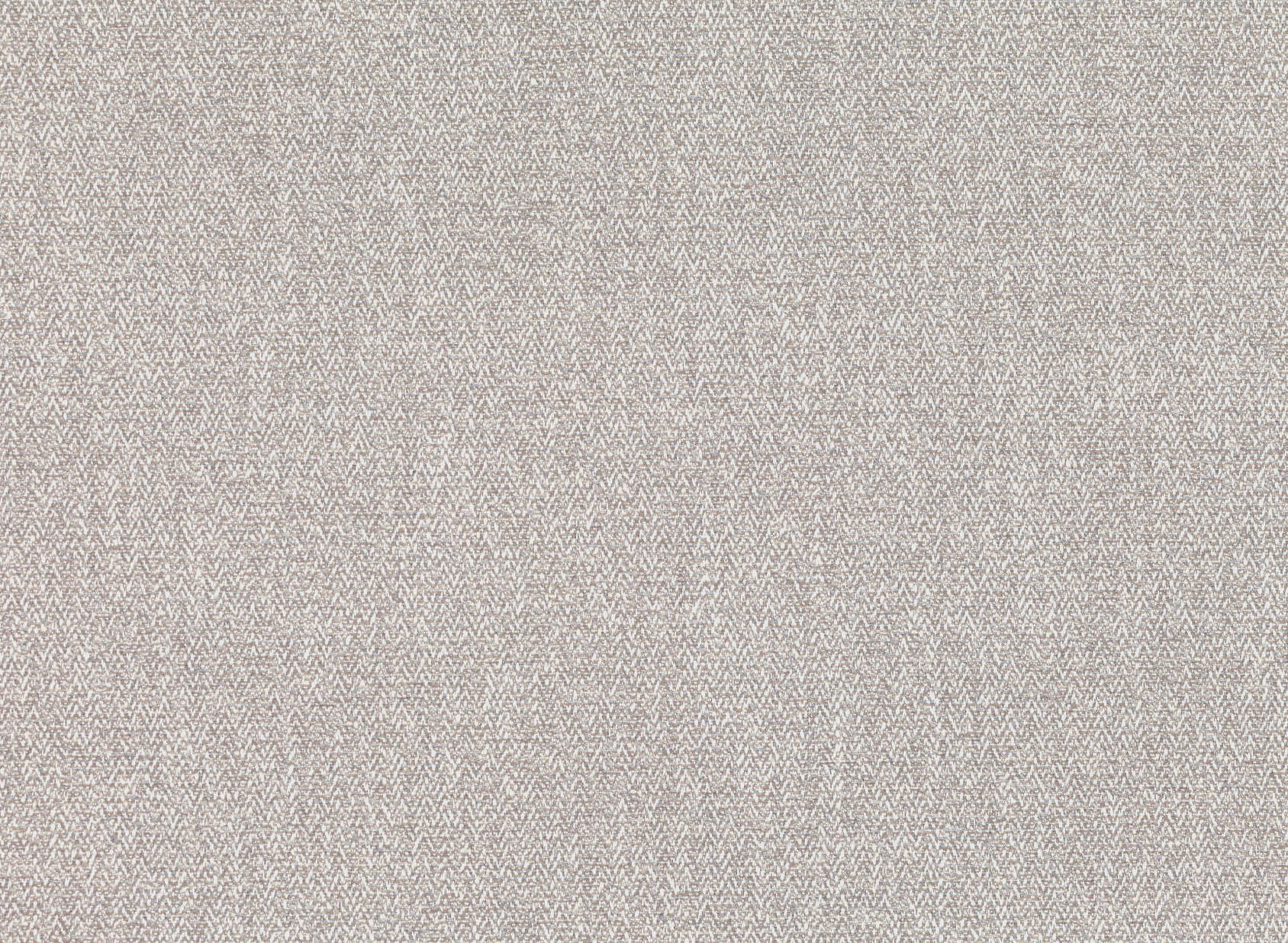 Acara Chinchilla 7947-01