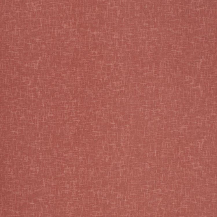 Accent Coral