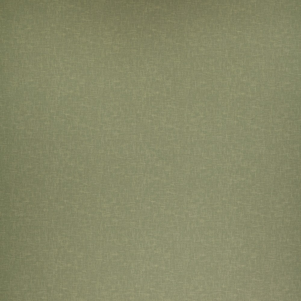 Accent Willow