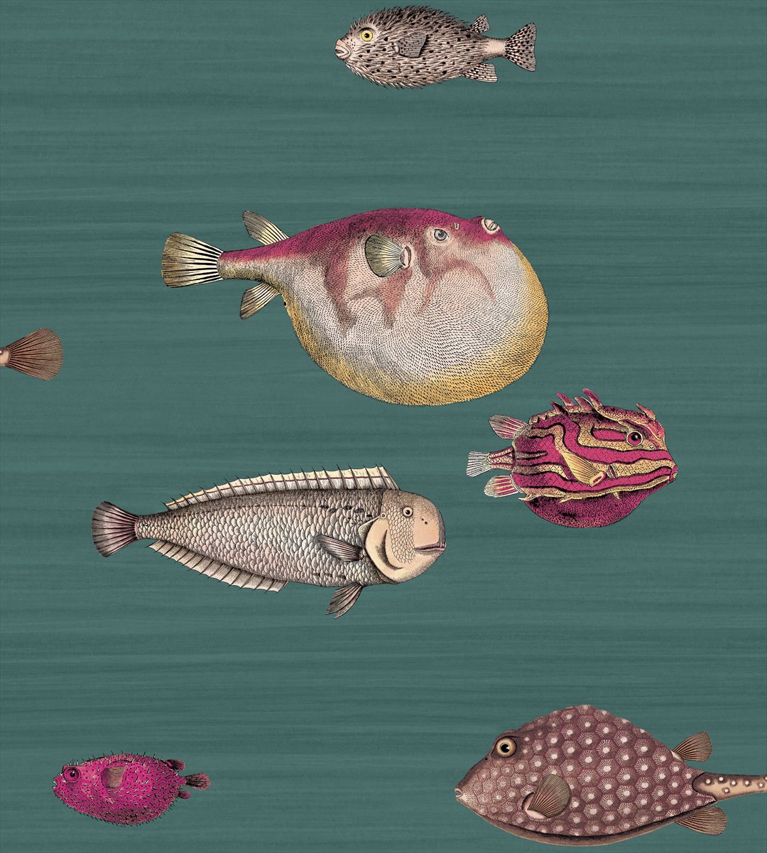 Acquario 114-12024