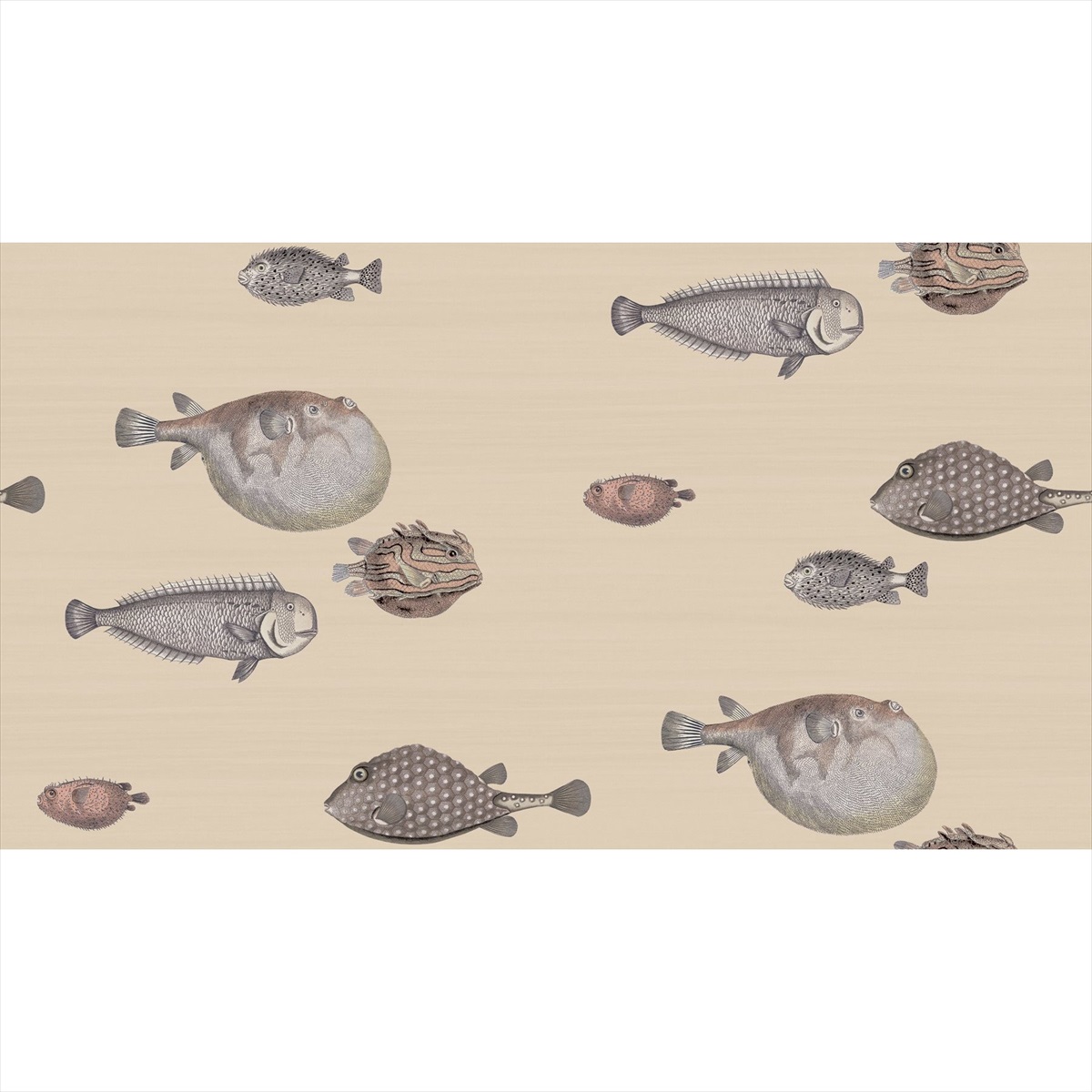 Acquario 114-16033