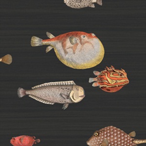 Acquario 97-10048