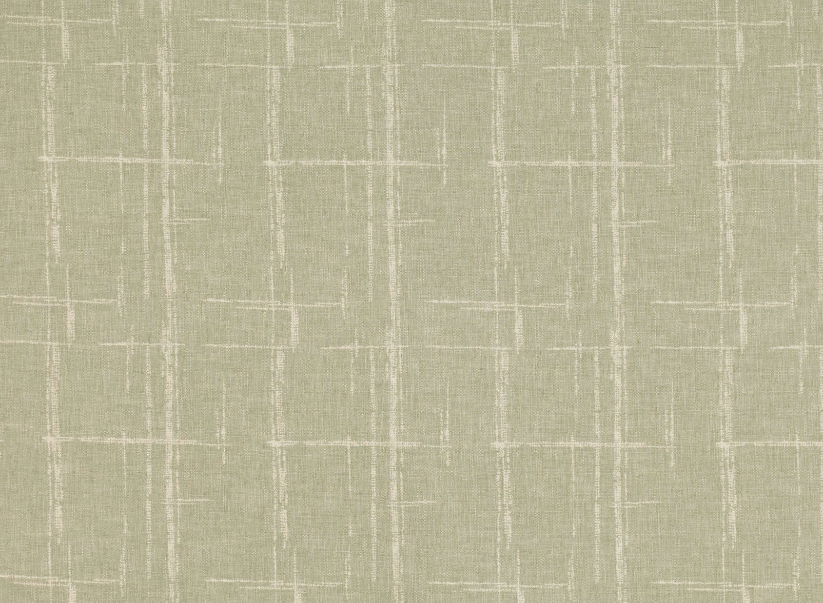 Acro Marjoram V3388-01