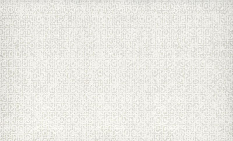 Ada AID002 Snow