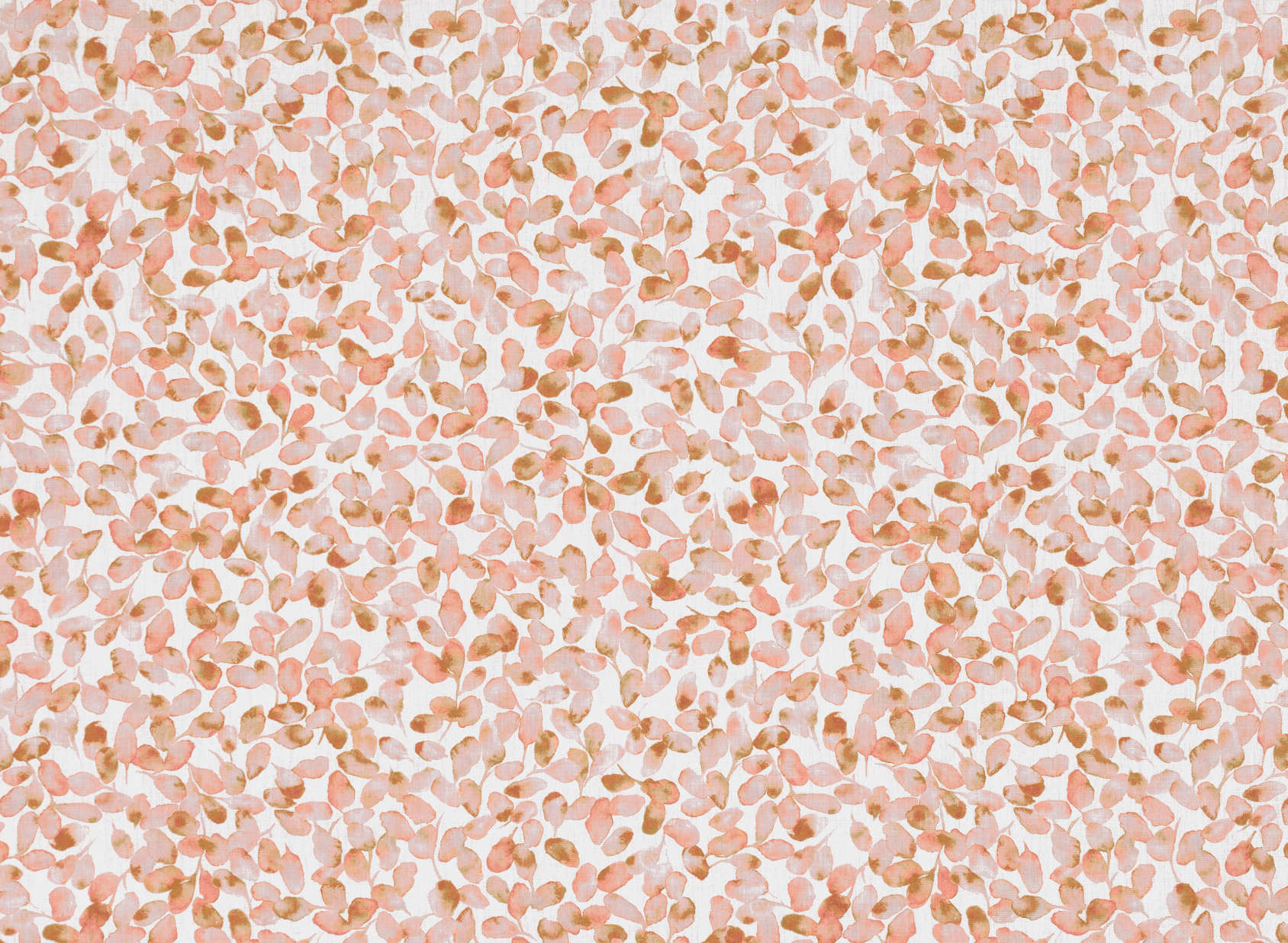 Ada Blush 7935-01