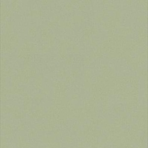 Adam Light green 515-28