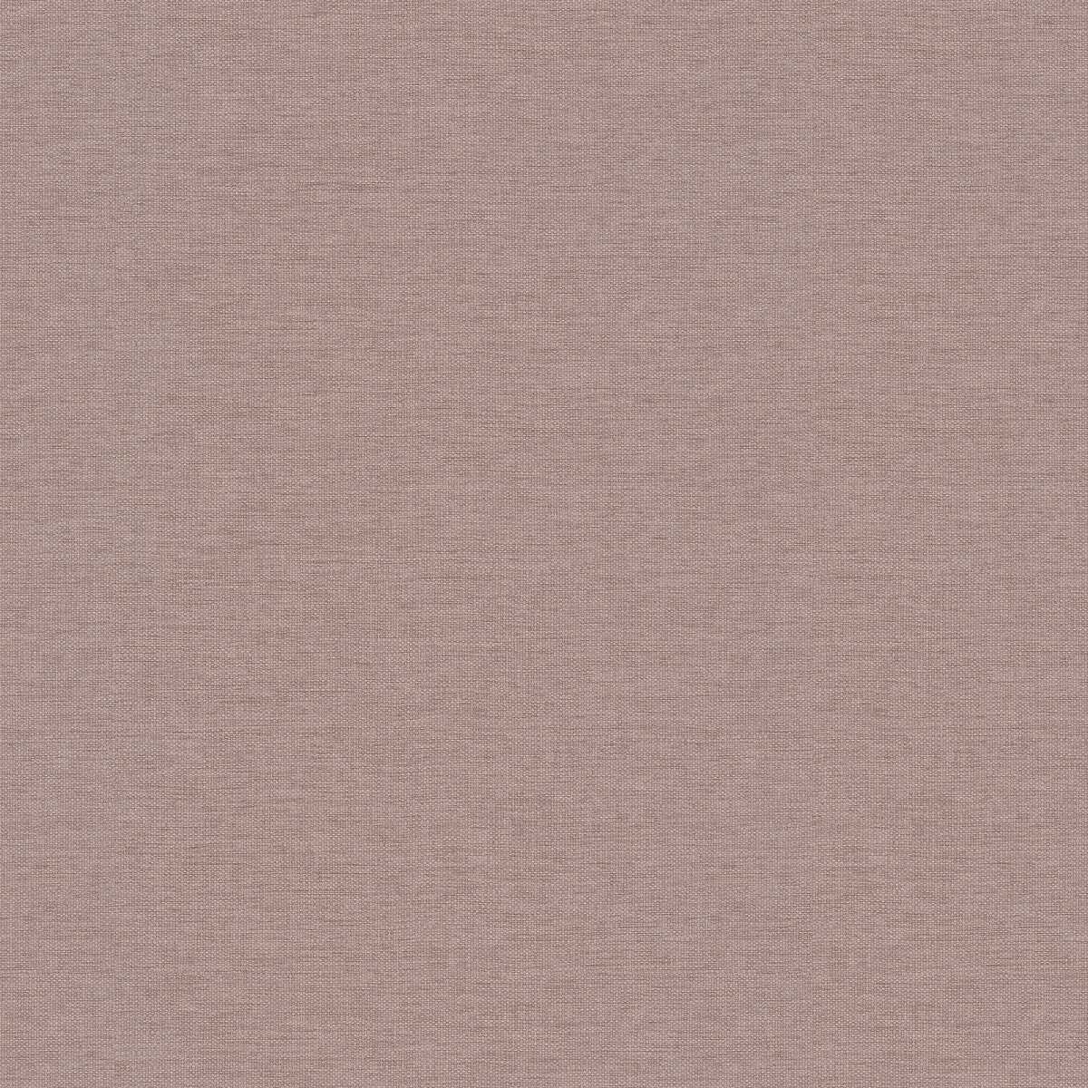 Breaking Dawn Dimout FR 1302-554