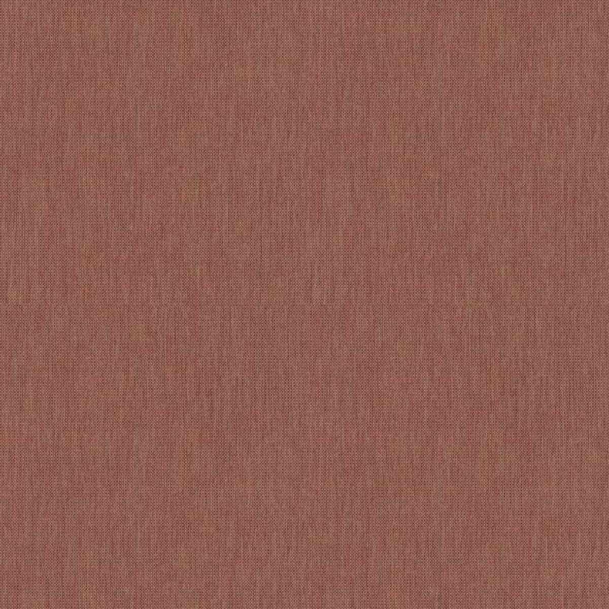 Cardamom 1432-556