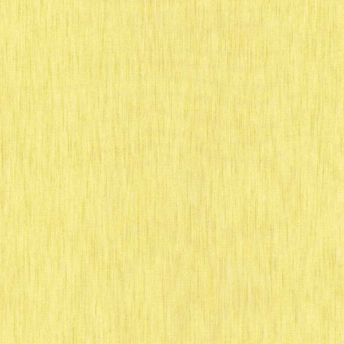 Linto FR 3105-443