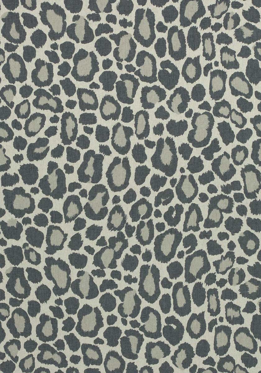 African Leopard AF72976