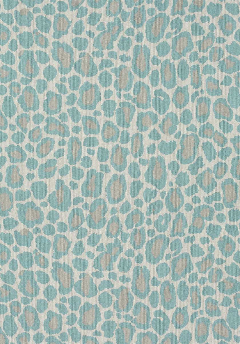 African Leopard AF72977
