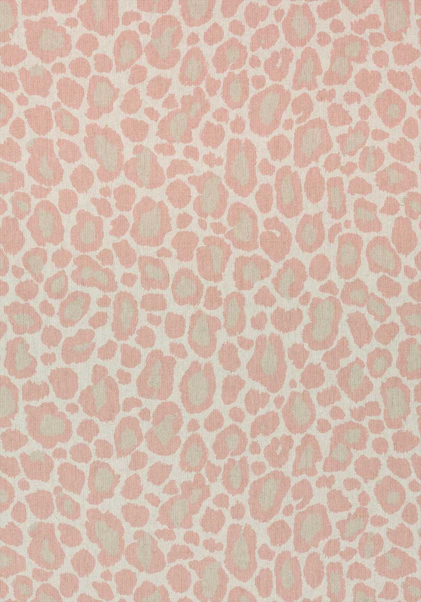 African Leopard AF72978