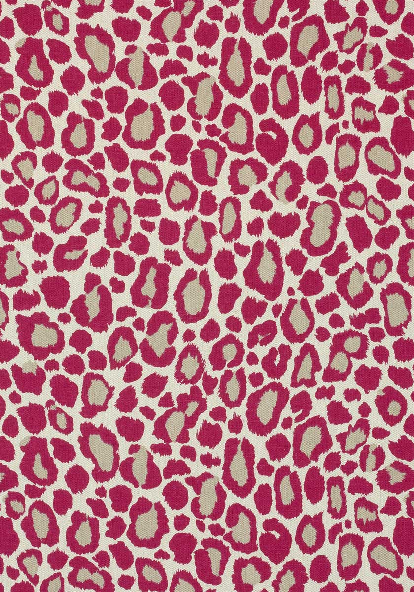 African Leopard AF72980