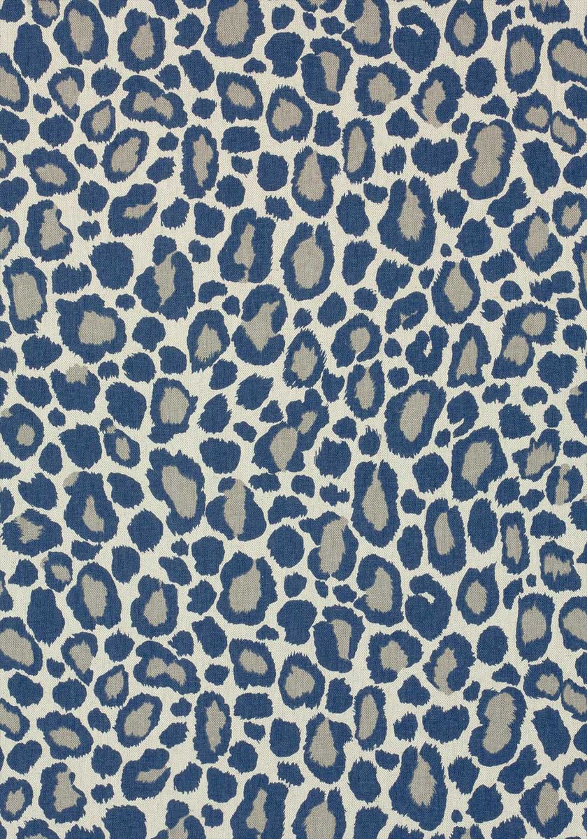 African Leopard AF72981