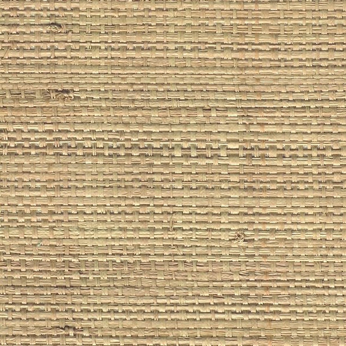African Raffia Corsica Natural 3418