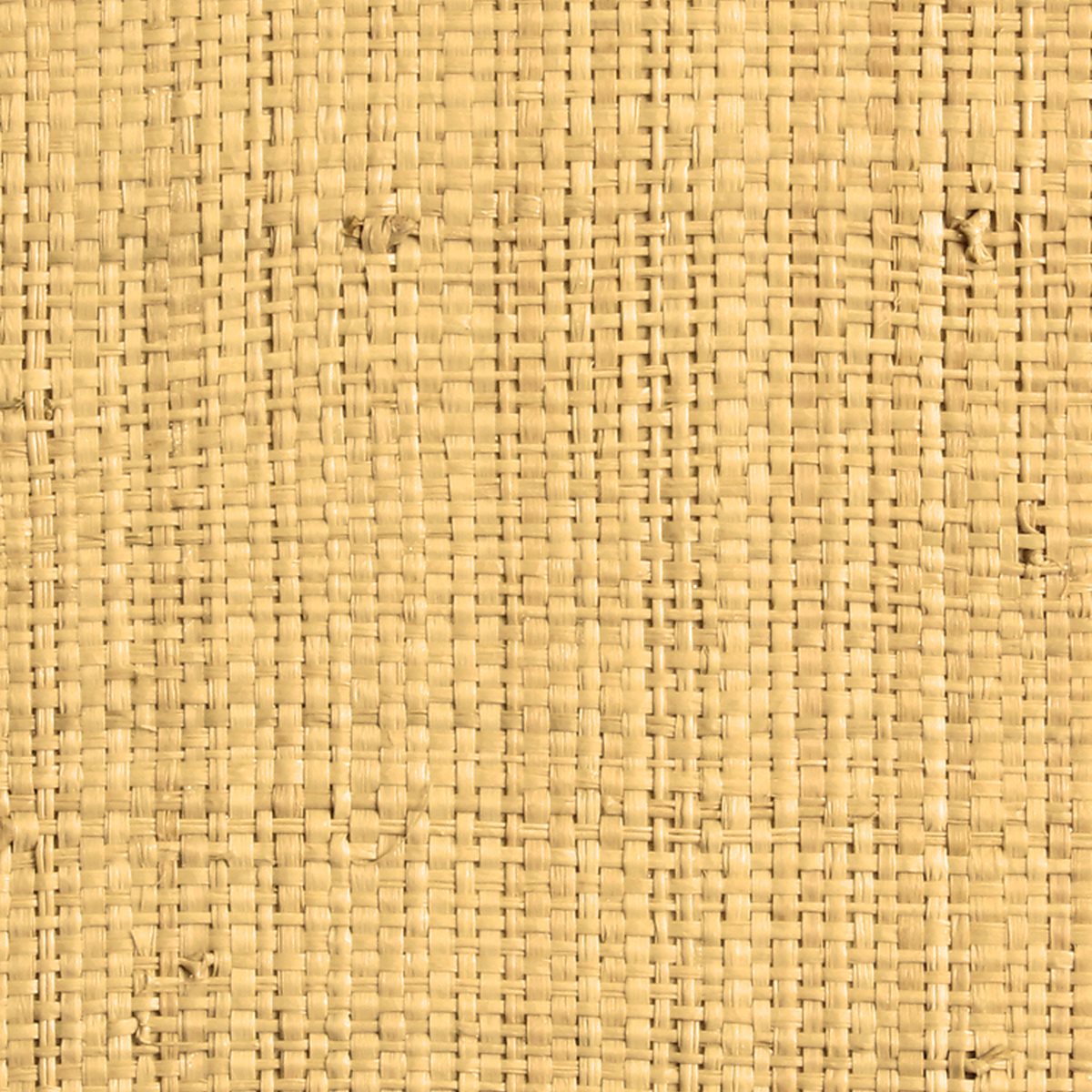 African Raffia Small Weave Natural 3493