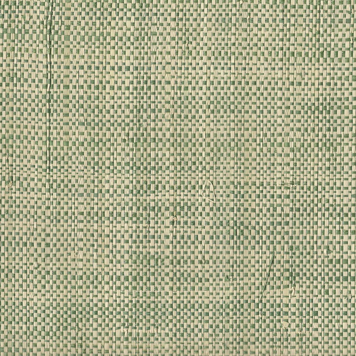 African Raffia Two Tone Green 3581
