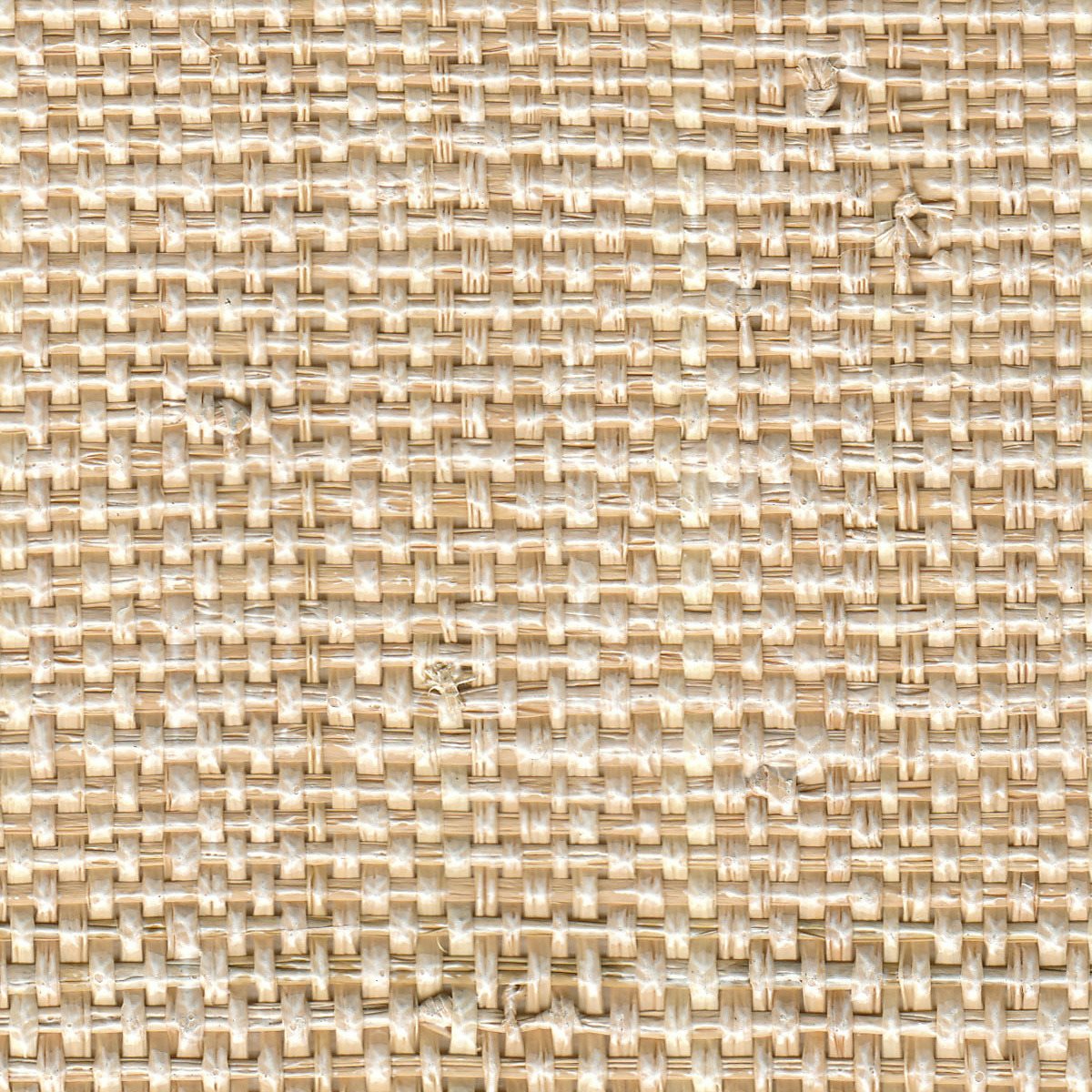 African Raffia White Wash 3404