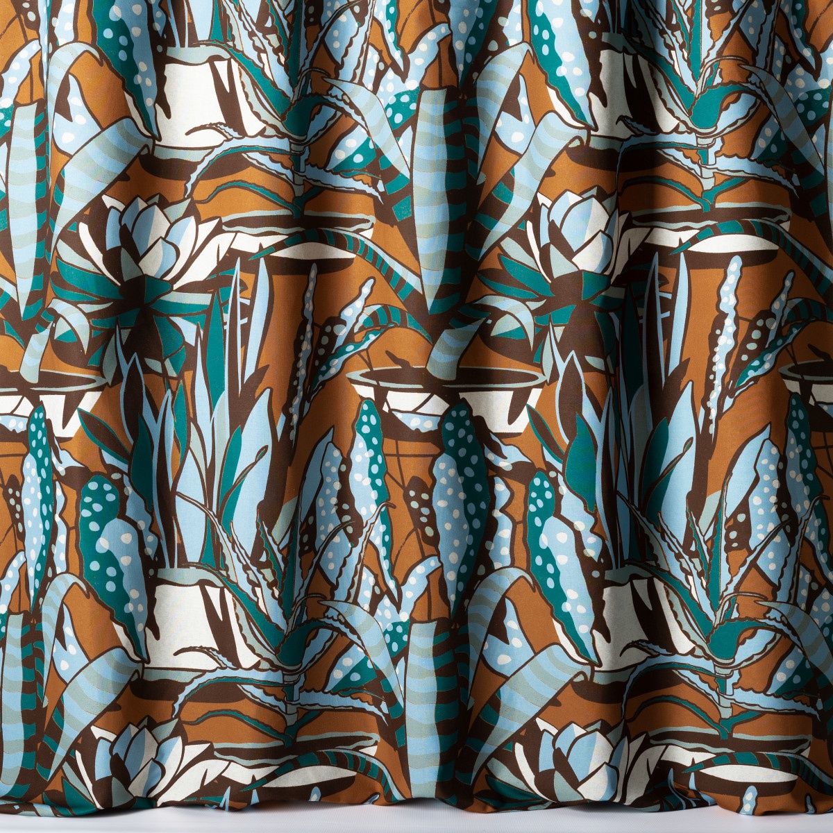 Agaves 10859-34