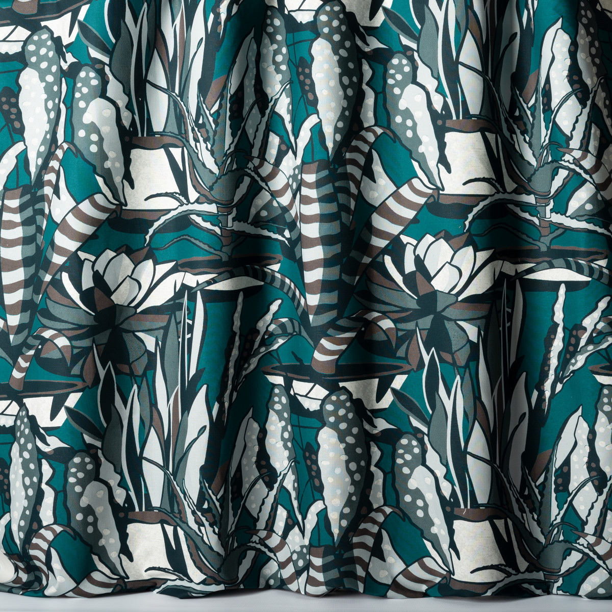 Agaves 10859-67